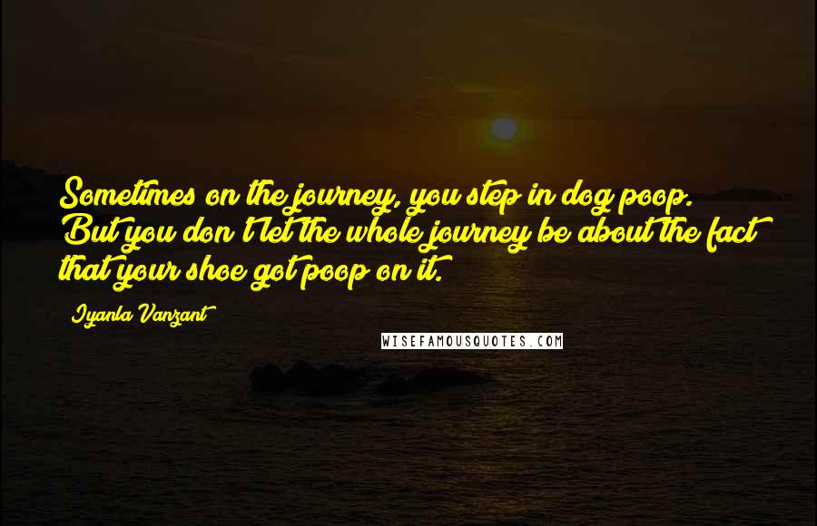 Iyanla Vanzant Quotes: Sometimes on the journey, you step in dog poop. But you don't let the whole journey be about the fact that your shoe got poop on it.