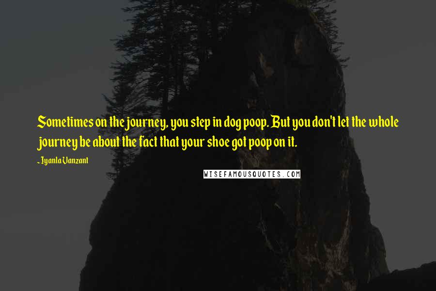 Iyanla Vanzant Quotes: Sometimes on the journey, you step in dog poop. But you don't let the whole journey be about the fact that your shoe got poop on it.