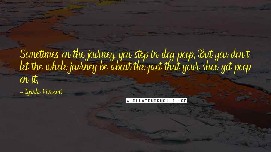 Iyanla Vanzant Quotes: Sometimes on the journey, you step in dog poop. But you don't let the whole journey be about the fact that your shoe got poop on it.