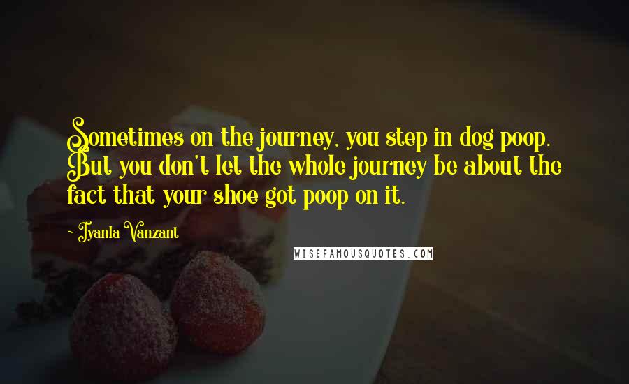 Iyanla Vanzant Quotes: Sometimes on the journey, you step in dog poop. But you don't let the whole journey be about the fact that your shoe got poop on it.