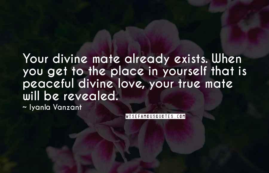 Iyanla Vanzant Quotes: Your divine mate already exists. When you get to the place in yourself that is peaceful divine love, your true mate will be revealed.