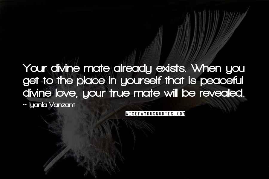 Iyanla Vanzant Quotes: Your divine mate already exists. When you get to the place in yourself that is peaceful divine love, your true mate will be revealed.