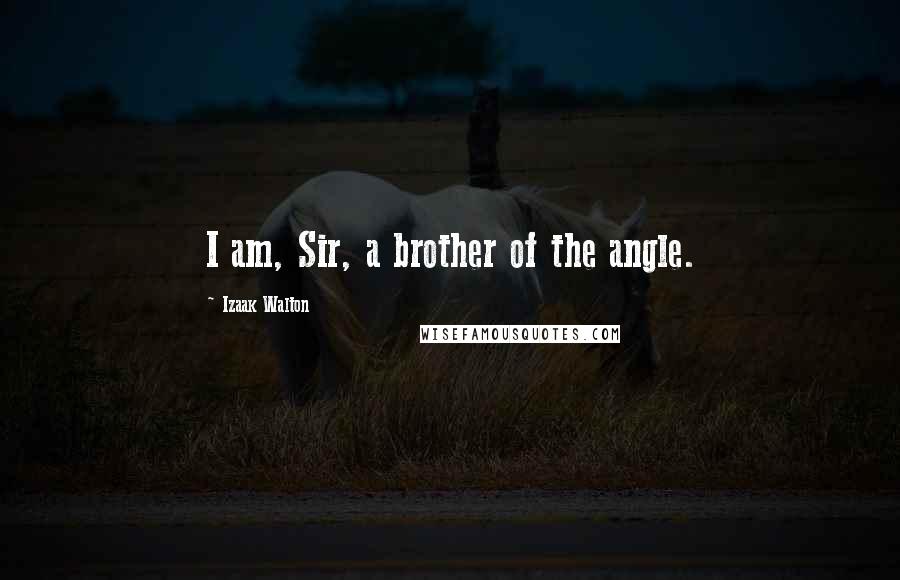 Izaak Walton Quotes: I am, Sir, a brother of the angle.