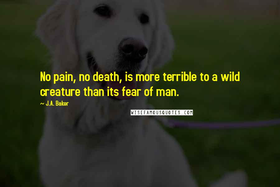 J.A. Baker Quotes: No pain, no death, is more terrible to a wild creature than its fear of man.