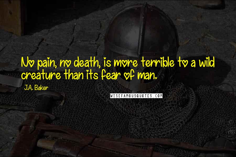 J.A. Baker Quotes: No pain, no death, is more terrible to a wild creature than its fear of man.