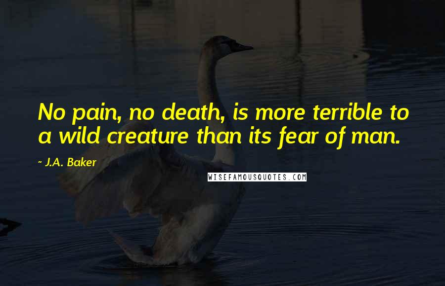 J.A. Baker Quotes: No pain, no death, is more terrible to a wild creature than its fear of man.