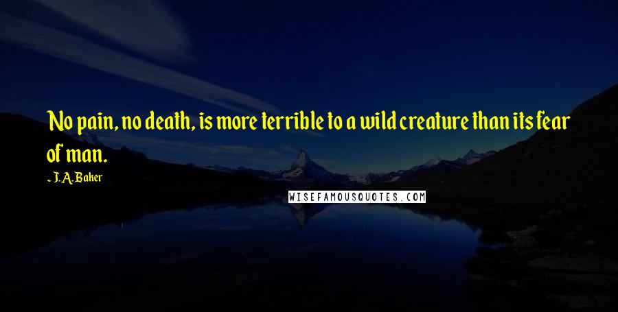 J.A. Baker Quotes: No pain, no death, is more terrible to a wild creature than its fear of man.