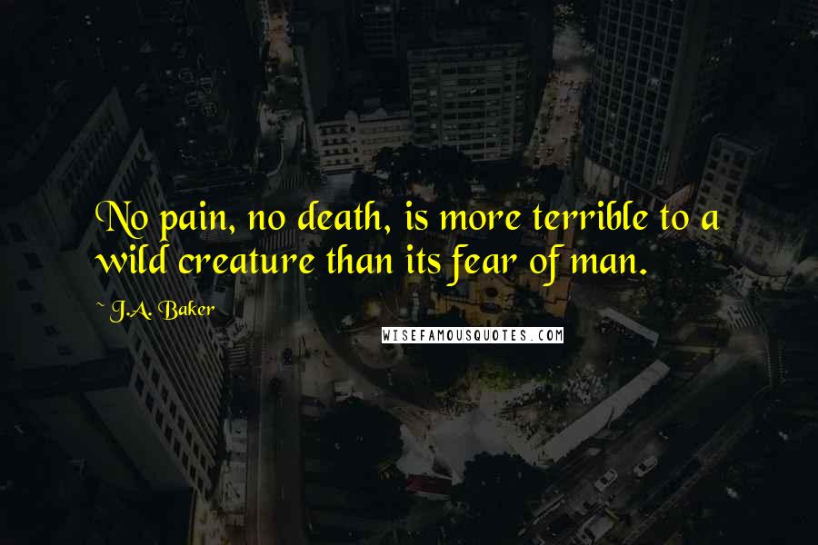 J.A. Baker Quotes: No pain, no death, is more terrible to a wild creature than its fear of man.