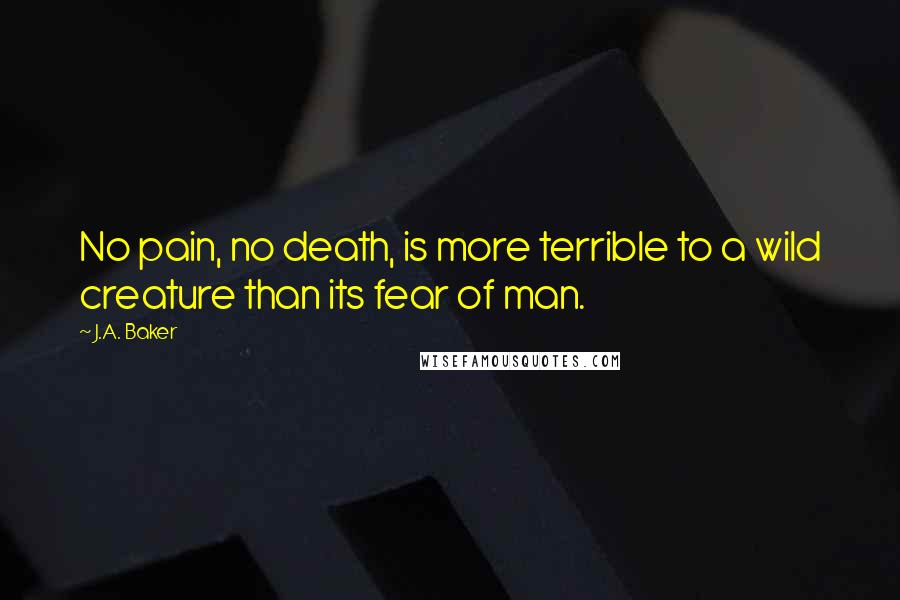 J.A. Baker Quotes: No pain, no death, is more terrible to a wild creature than its fear of man.