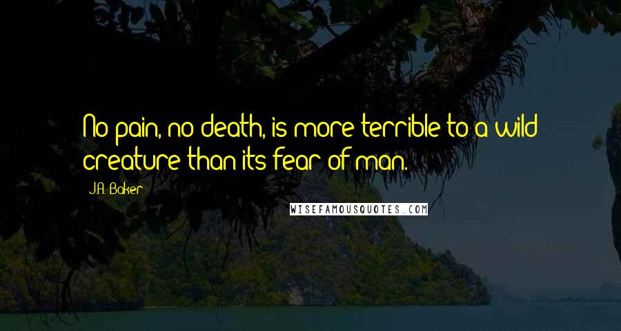 J.A. Baker Quotes: No pain, no death, is more terrible to a wild creature than its fear of man.