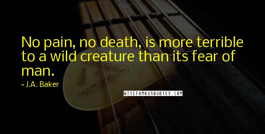 J.A. Baker Quotes: No pain, no death, is more terrible to a wild creature than its fear of man.