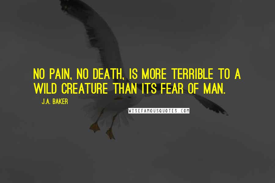 J.A. Baker Quotes: No pain, no death, is more terrible to a wild creature than its fear of man.