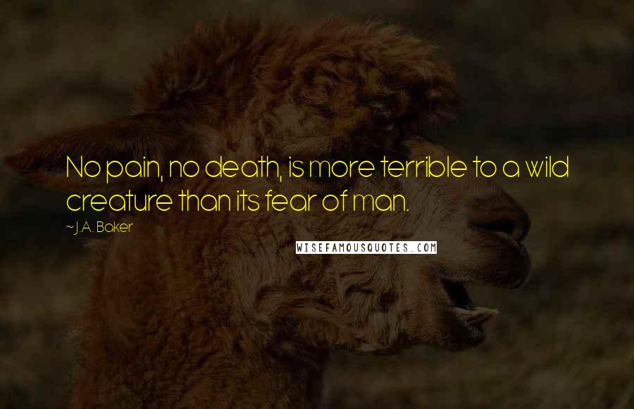 J.A. Baker Quotes: No pain, no death, is more terrible to a wild creature than its fear of man.