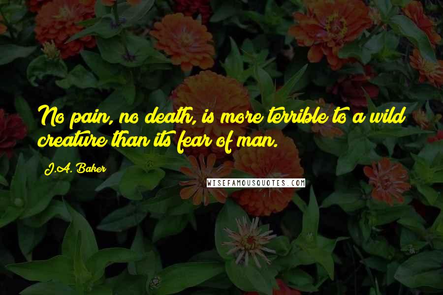 J.A. Baker Quotes: No pain, no death, is more terrible to a wild creature than its fear of man.