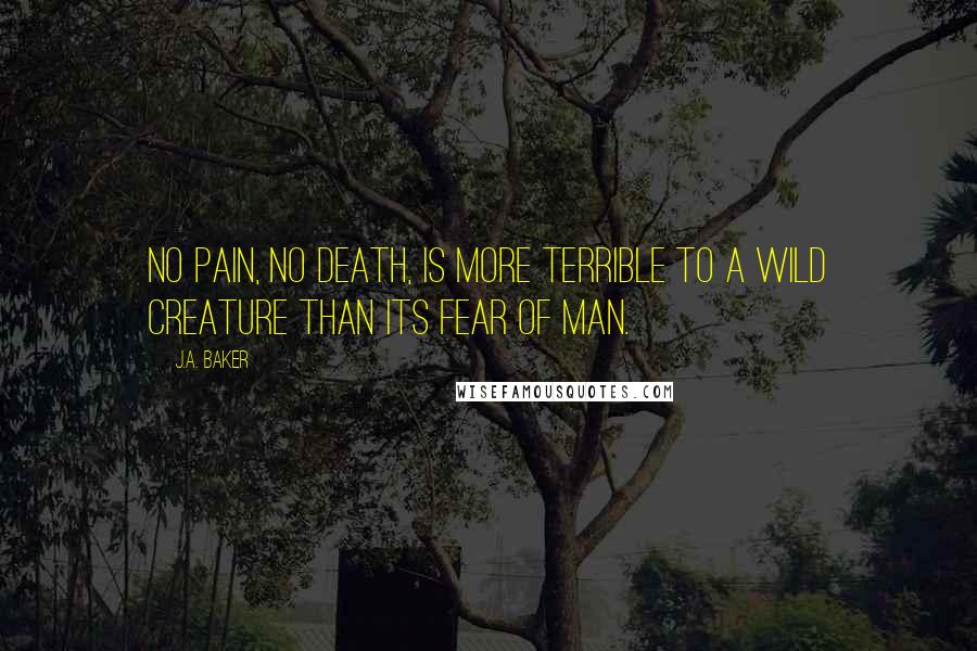 J.A. Baker Quotes: No pain, no death, is more terrible to a wild creature than its fear of man.