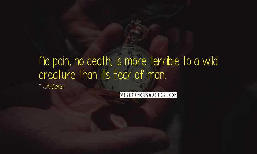 J.A. Baker Quotes: No pain, no death, is more terrible to a wild creature than its fear of man.