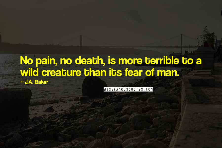 J.A. Baker Quotes: No pain, no death, is more terrible to a wild creature than its fear of man.