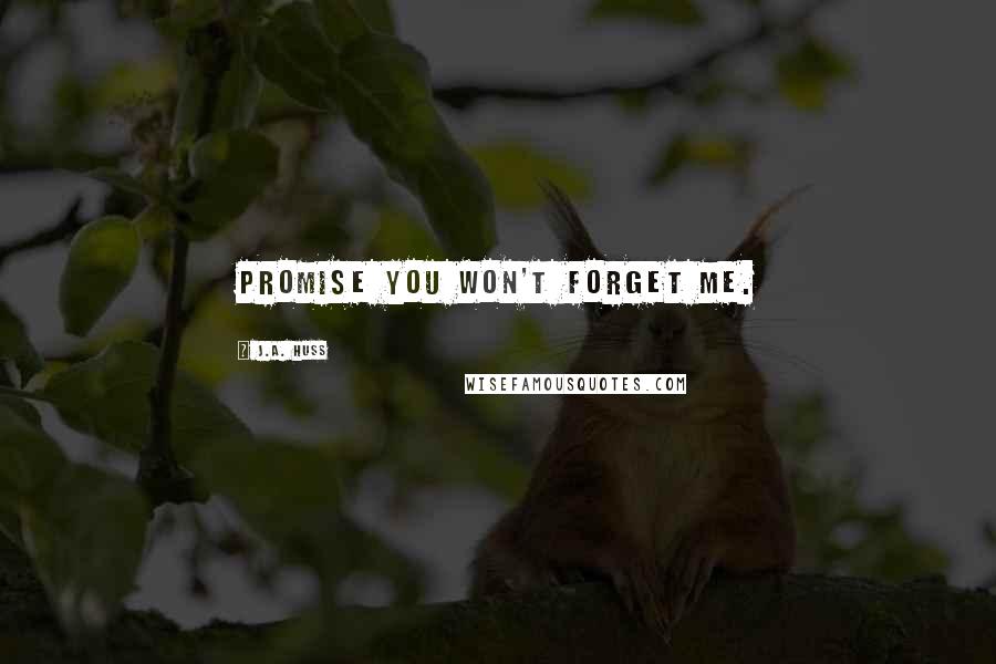 J.A. Huss Quotes: Promise you won't forget me.