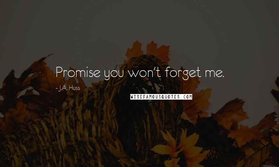 J.A. Huss Quotes: Promise you won't forget me.