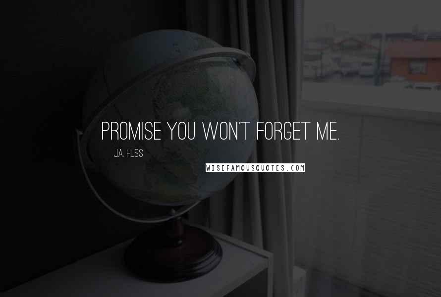 J.A. Huss Quotes: Promise you won't forget me.