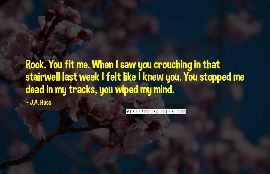 J.A. Huss Quotes: Rook. You fit me. When I saw you crouching in that stairwell last week I felt like I knew you. You stopped me dead in my tracks, you wiped my mind.