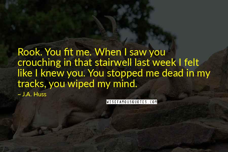 J.A. Huss Quotes: Rook. You fit me. When I saw you crouching in that stairwell last week I felt like I knew you. You stopped me dead in my tracks, you wiped my mind.