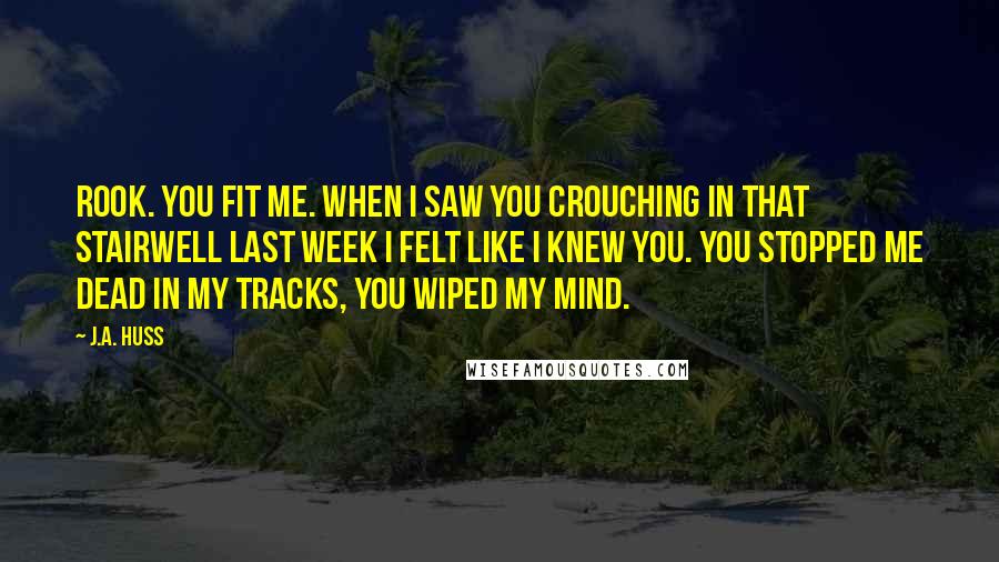 J.A. Huss Quotes: Rook. You fit me. When I saw you crouching in that stairwell last week I felt like I knew you. You stopped me dead in my tracks, you wiped my mind.