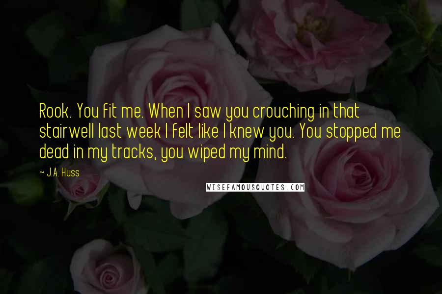 J.A. Huss Quotes: Rook. You fit me. When I saw you crouching in that stairwell last week I felt like I knew you. You stopped me dead in my tracks, you wiped my mind.