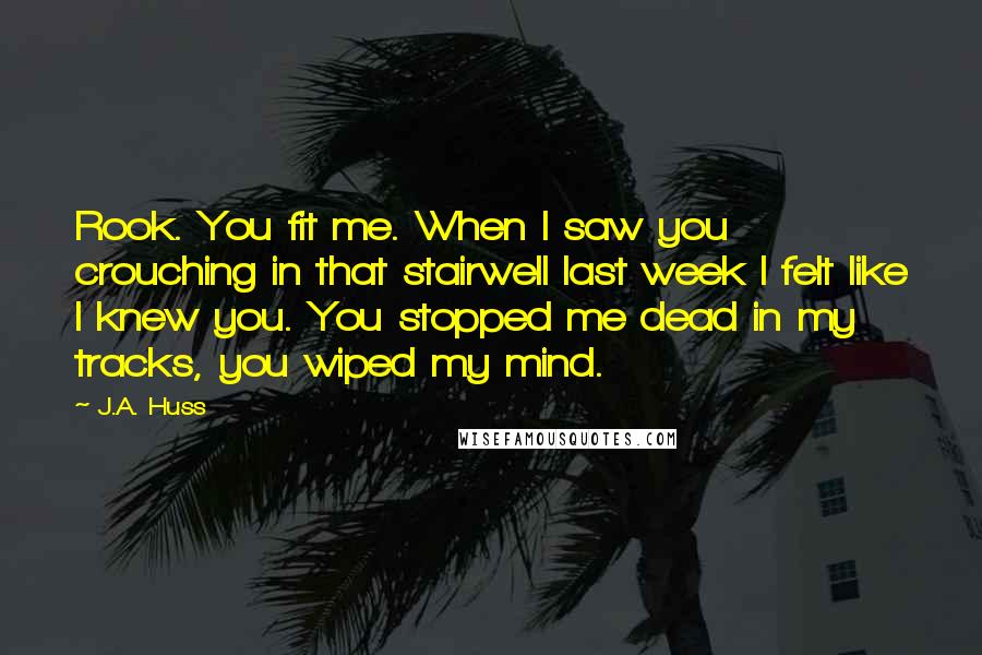 J.A. Huss Quotes: Rook. You fit me. When I saw you crouching in that stairwell last week I felt like I knew you. You stopped me dead in my tracks, you wiped my mind.