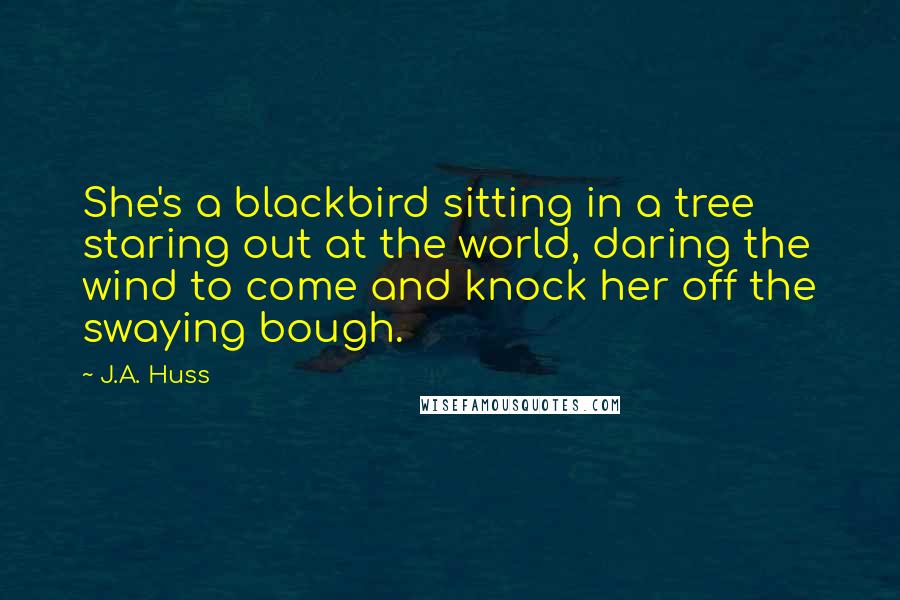 J.A. Huss Quotes: She's a blackbird sitting in a tree staring out at the world, daring the wind to come and knock her off the swaying bough.