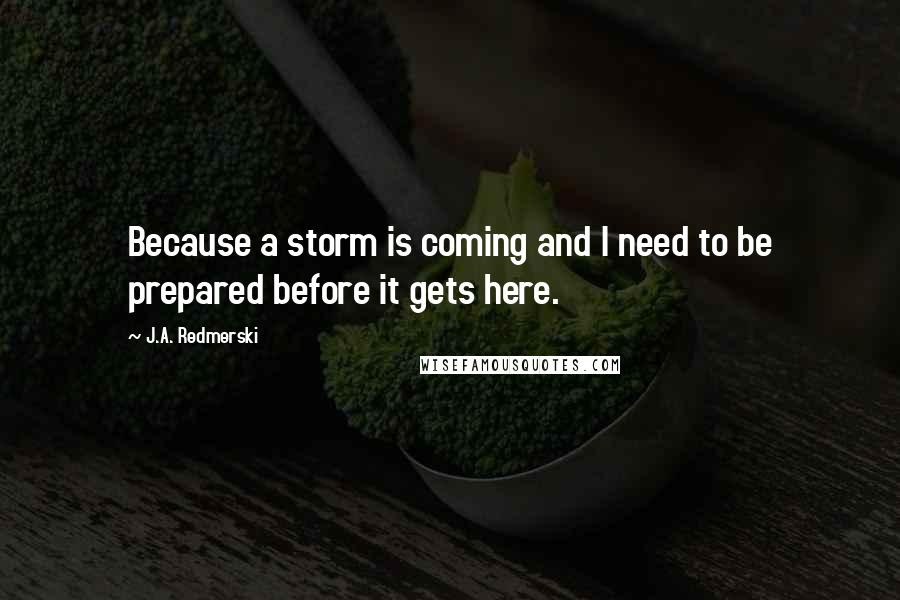 J.A. Redmerski Quotes: Because a storm is coming and I need to be prepared before it gets here.