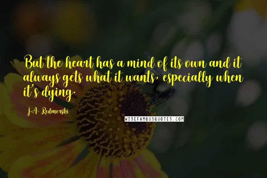 J.A. Redmerski Quotes: But the heart has a mind of its own and it always gets what it wants, especially when it's dying.