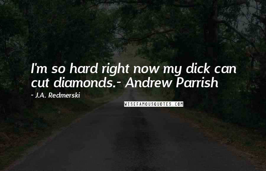 J.A. Redmerski Quotes: I'm so hard right now my dick can cut diamonds.- Andrew Parrish