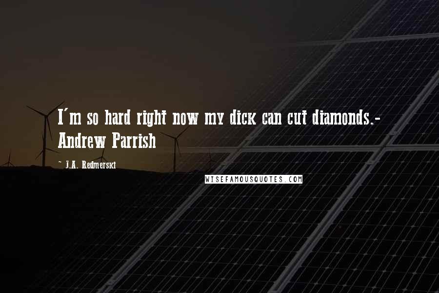 J.A. Redmerski Quotes: I'm so hard right now my dick can cut diamonds.- Andrew Parrish