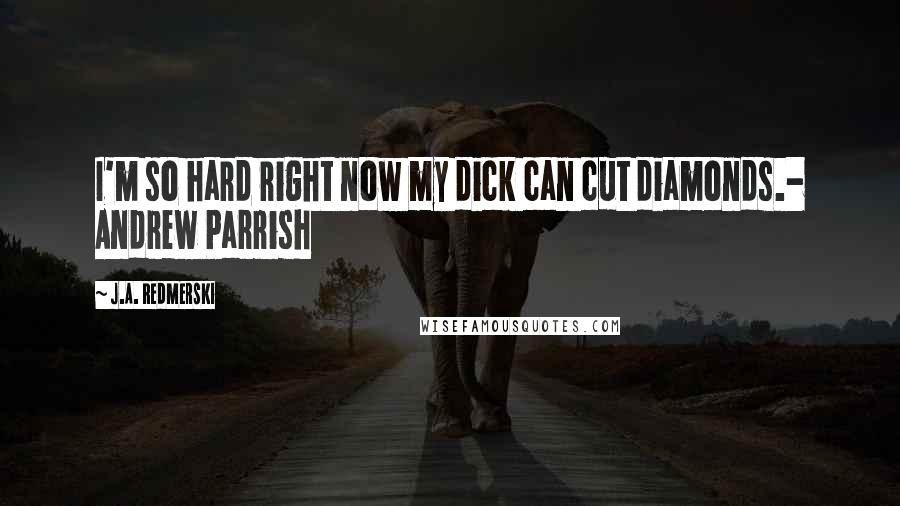 J.A. Redmerski Quotes: I'm so hard right now my dick can cut diamonds.- Andrew Parrish