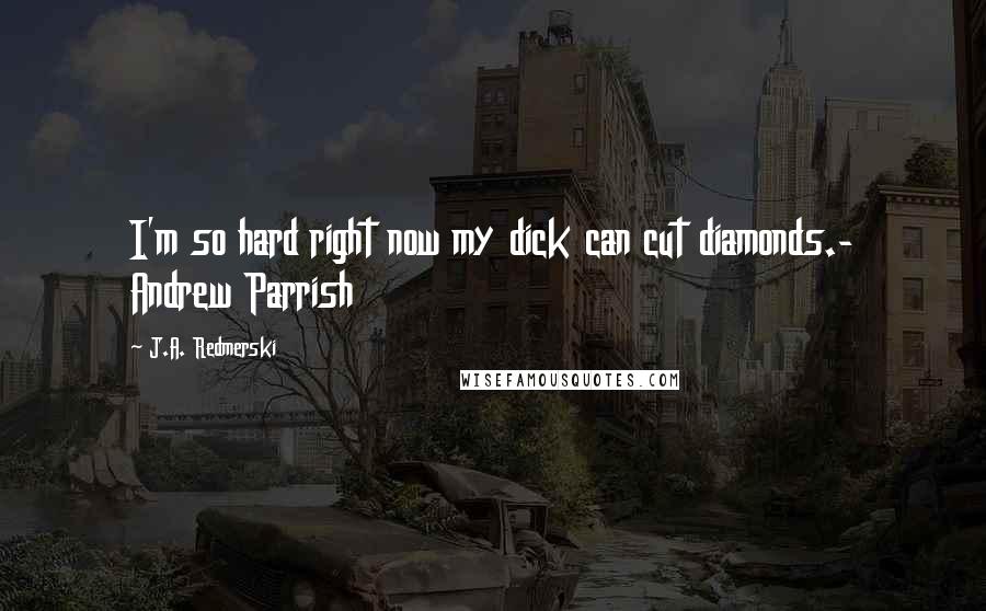 J.A. Redmerski Quotes: I'm so hard right now my dick can cut diamonds.- Andrew Parrish