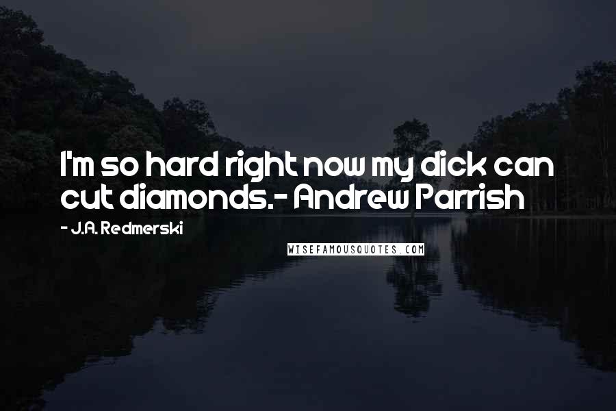 J.A. Redmerski Quotes: I'm so hard right now my dick can cut diamonds.- Andrew Parrish