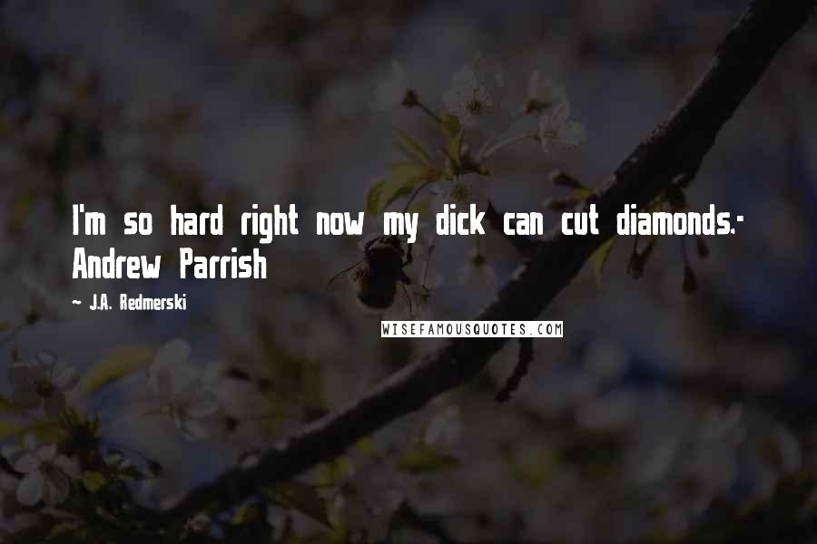 J.A. Redmerski Quotes: I'm so hard right now my dick can cut diamonds.- Andrew Parrish