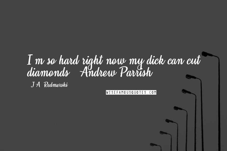 J.A. Redmerski Quotes: I'm so hard right now my dick can cut diamonds.- Andrew Parrish