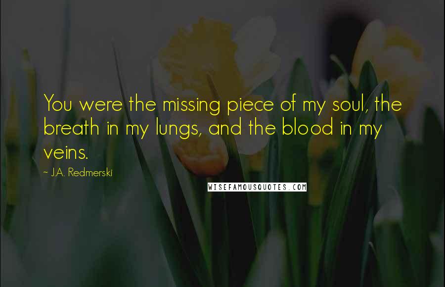 J.A. Redmerski Quotes: You were the missing piece of my soul, the breath in my lungs, and the blood in my veins.