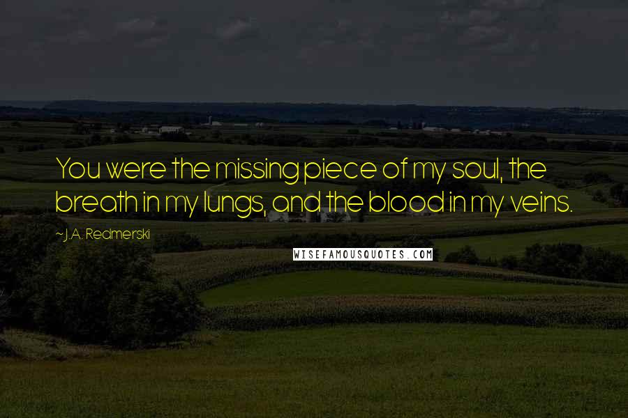 J.A. Redmerski Quotes: You were the missing piece of my soul, the breath in my lungs, and the blood in my veins.