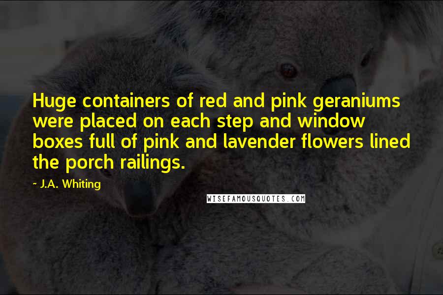 J.A. Whiting Quotes: Huge containers of red and pink geraniums were placed on each step and window boxes full of pink and lavender flowers lined the porch railings.