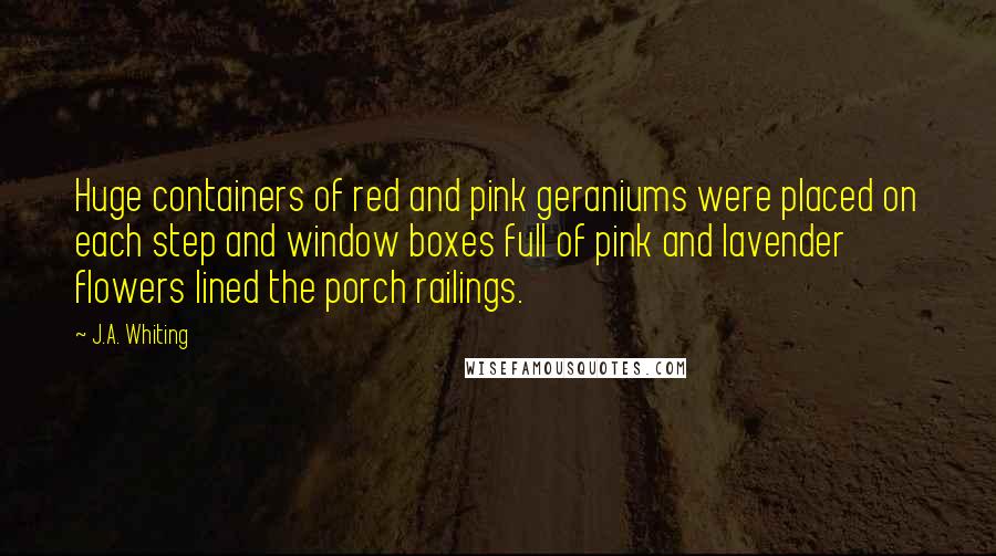 J.A. Whiting Quotes: Huge containers of red and pink geraniums were placed on each step and window boxes full of pink and lavender flowers lined the porch railings.