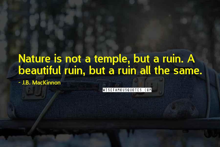 J.B. MacKinnon Quotes: Nature is not a temple, but a ruin. A beautiful ruin, but a ruin all the same.