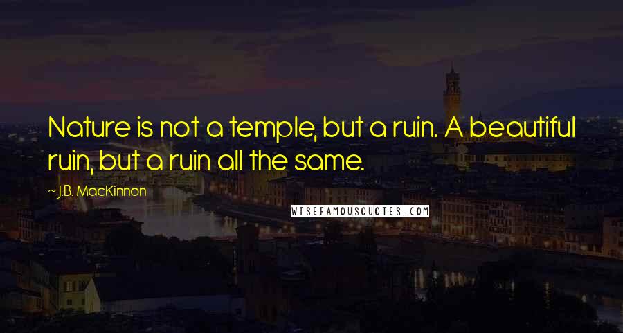 J.B. MacKinnon Quotes: Nature is not a temple, but a ruin. A beautiful ruin, but a ruin all the same.