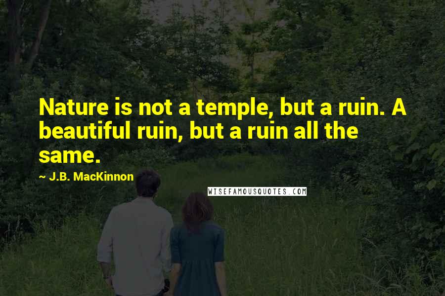 J.B. MacKinnon Quotes: Nature is not a temple, but a ruin. A beautiful ruin, but a ruin all the same.