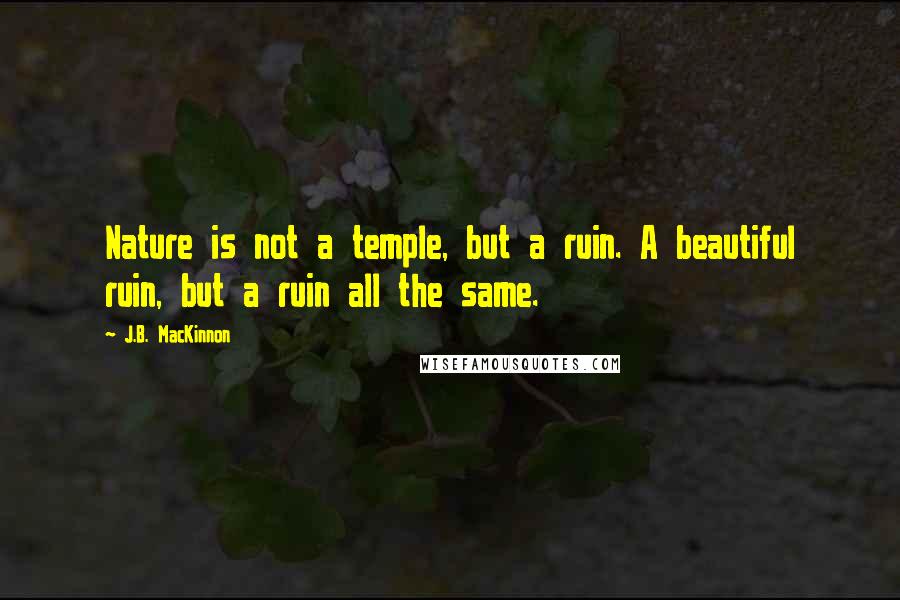 J.B. MacKinnon Quotes: Nature is not a temple, but a ruin. A beautiful ruin, but a ruin all the same.