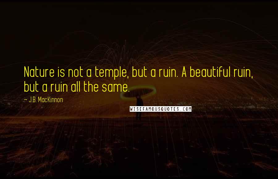 J.B. MacKinnon Quotes: Nature is not a temple, but a ruin. A beautiful ruin, but a ruin all the same.