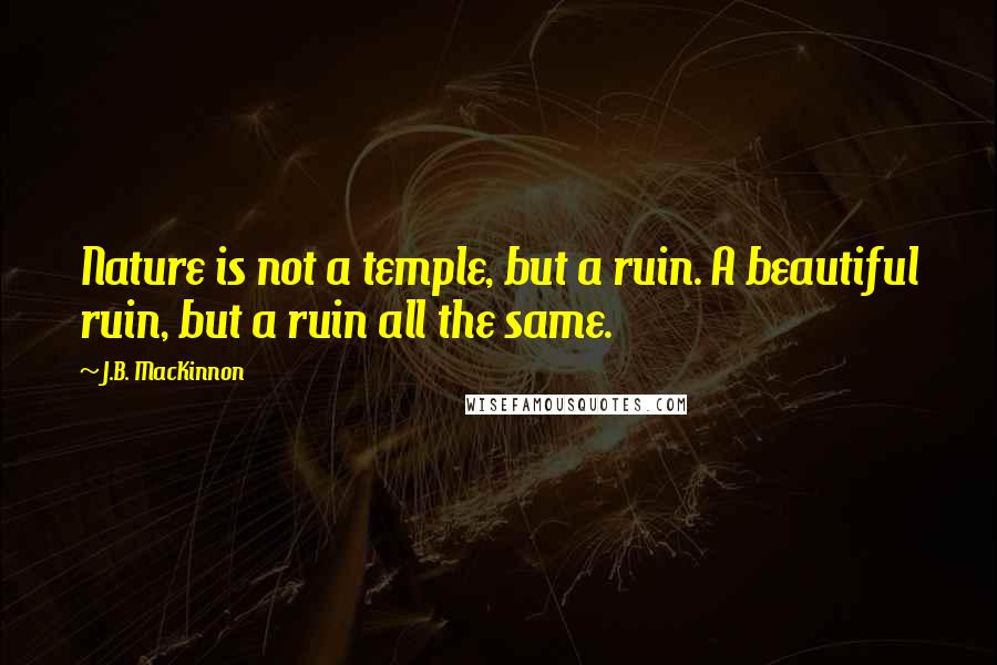 J.B. MacKinnon Quotes: Nature is not a temple, but a ruin. A beautiful ruin, but a ruin all the same.