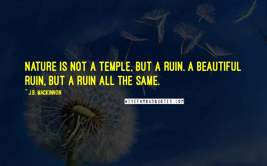 J.B. MacKinnon Quotes: Nature is not a temple, but a ruin. A beautiful ruin, but a ruin all the same.